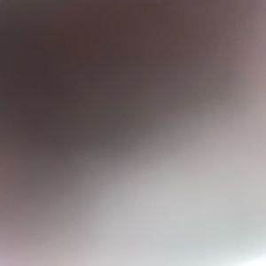 Meet your Posher, Belle